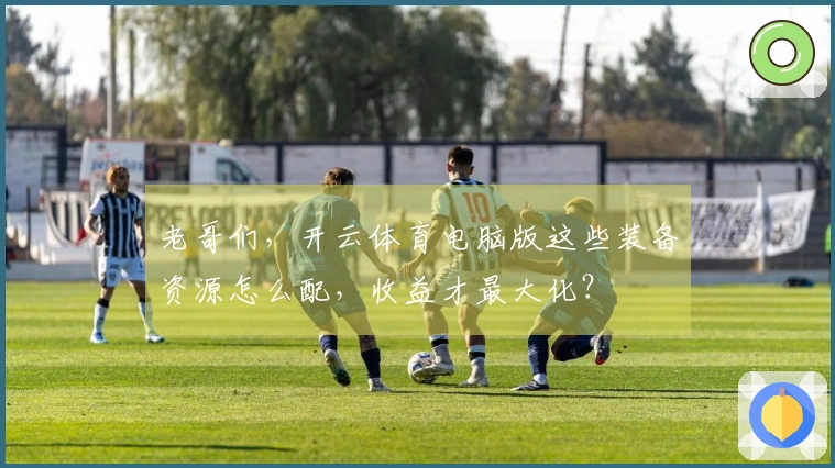 老哥们，开云体育电脑版这些装备资源怎么配，收益才最大化？